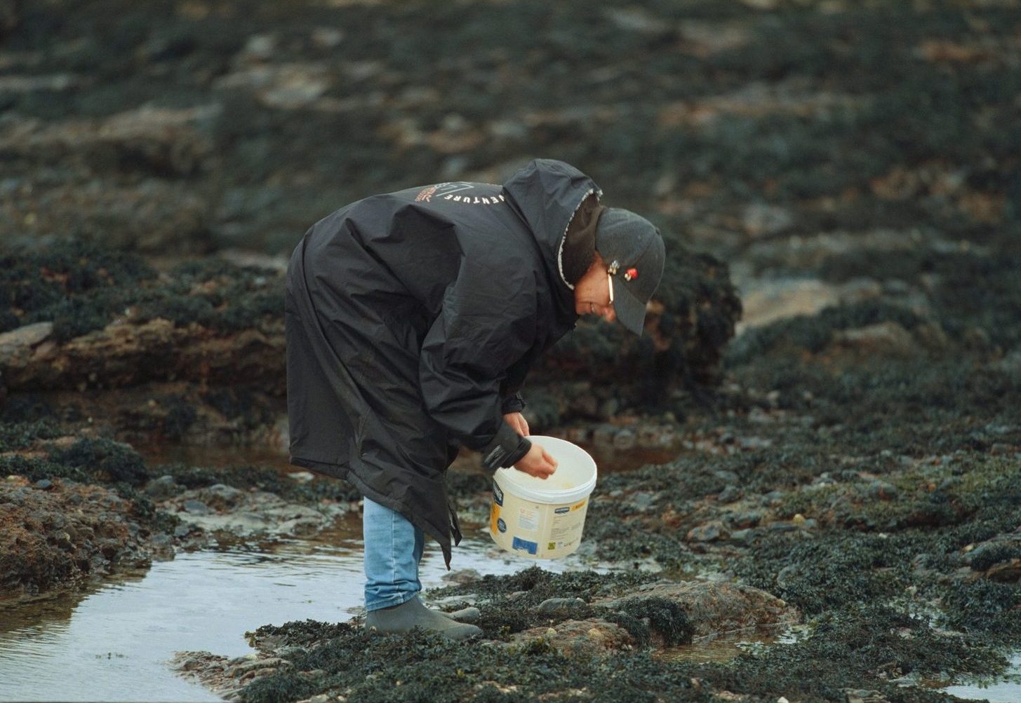 A local foraging tide pools on the shore